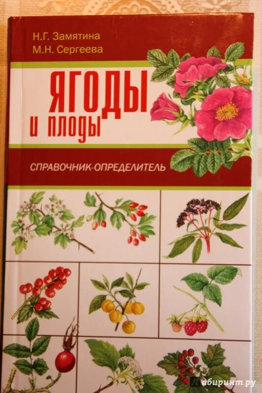 Ягоды наших лесов атлас-определитель. Атлас определитель ягод. Атлас определитель съедобные и несъедобные растения с плодами. Атлас определитель ягод. Ягоды наших лесов атлас-определитель.