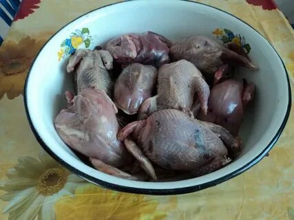 Тушки рябчиков