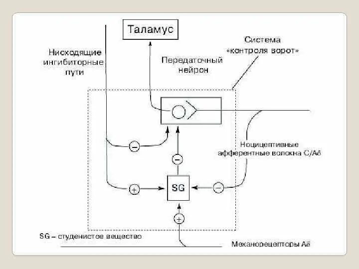 Нисходящий контроль