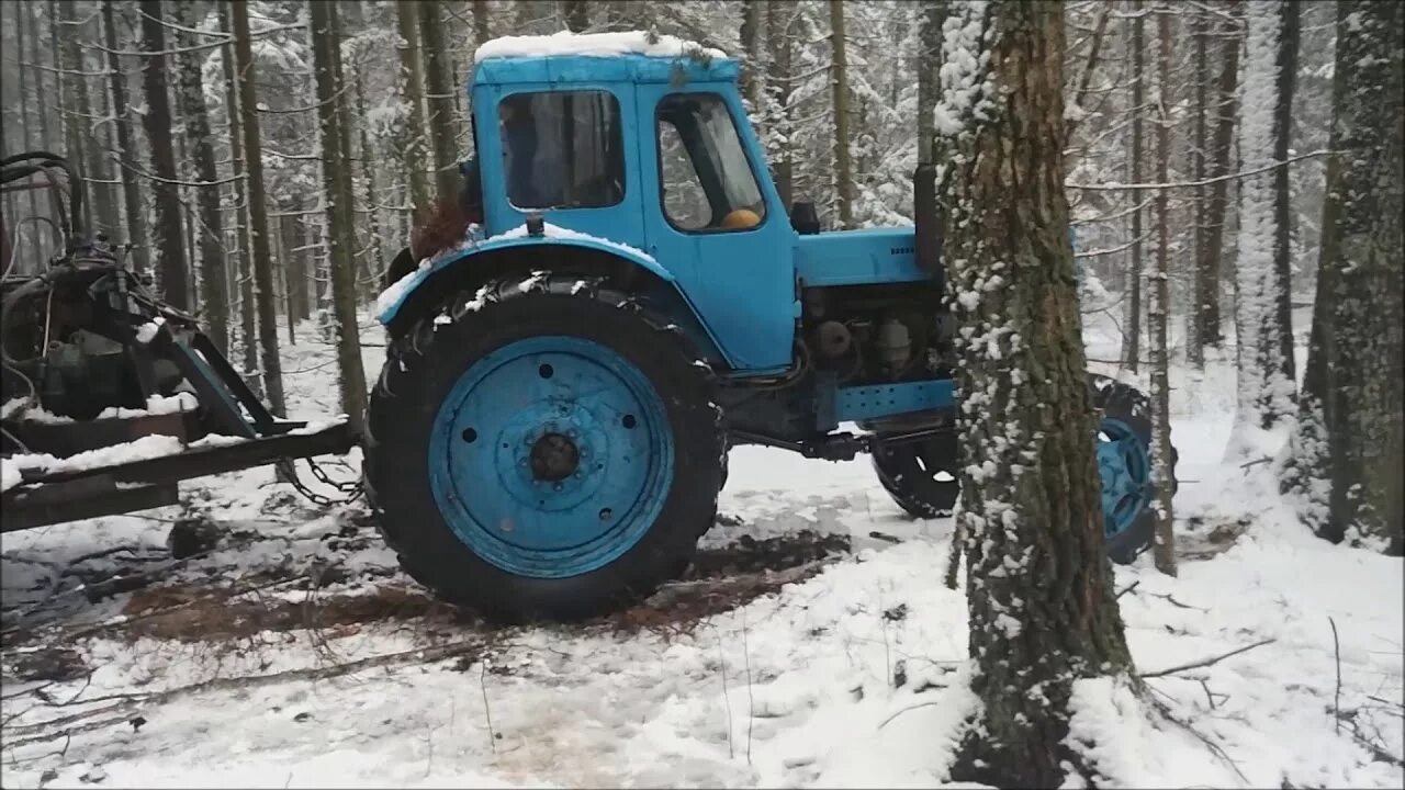 Работа мтз видео. МТЗ 52 Форест. МТЗ 52 Лесной. Вывозить лес на МТЗ 80. Трелевка леса на ЮМЗ зимой.