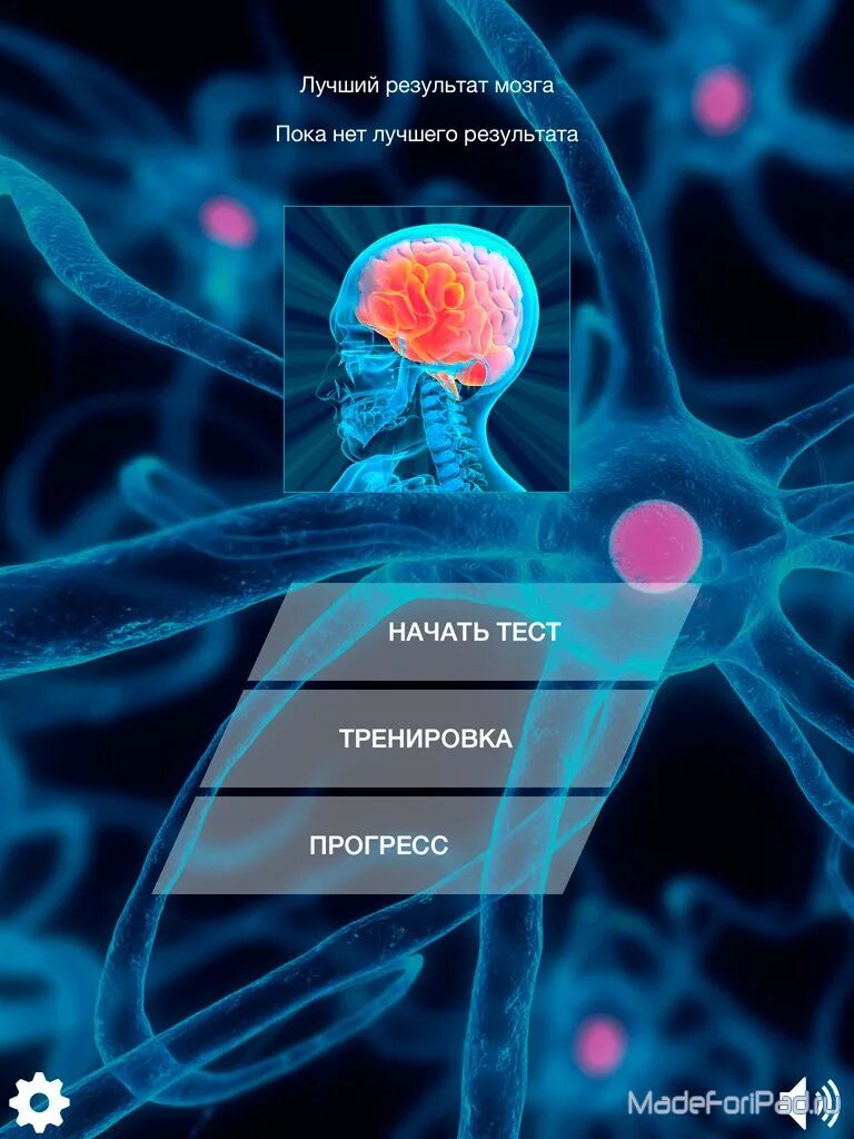 Тест на мозг. Тесты для тренировки мозга. Тест на мозговую деятельность. Возраст мозга.