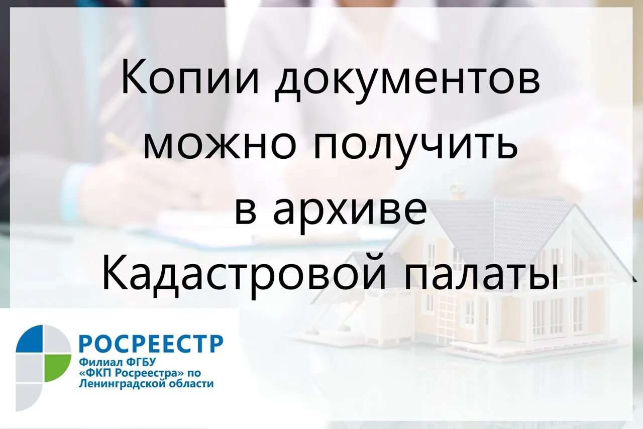 Сайт федеральной кадастровой палаты. Документы из архива кадастровой палаты. Кадастровая палата Курск. Кадастровая палата Курской области руководитель. Картинка архив кадастровой палаты РФ.