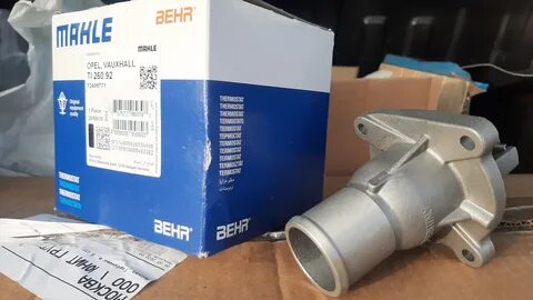 Rex behr пх