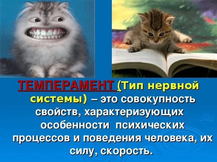 Тип темперамента особенности нервной системы. Темперамент школьника. типы темперамента картинки. холерик картинки. совокупность свойств нервных процессов холерика.