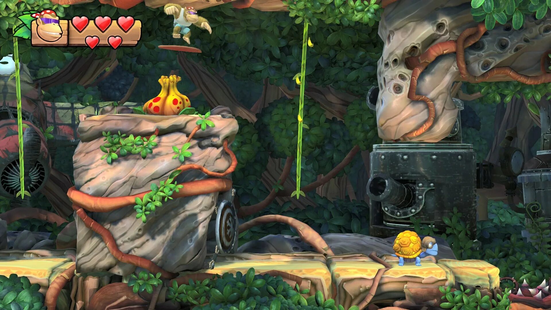 Donkey kong country tropical. Игра Donkey Kong Country. Donkey Kong Country: Tropical Freeze. Donkey Kong Country Tropical Freeze Switch. Игра Donkey Kong Country: Tropical Freeze.