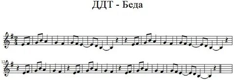 Ддт беда
