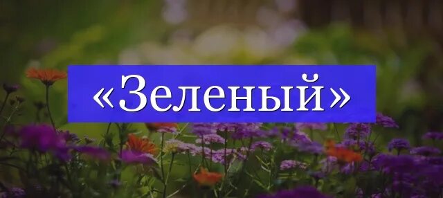 Зелень корень слова. Трава проверочное слово. Однокоренные слова к слову зелень. Корень в слове зеленеет. Разбор слова по составу зеленый.