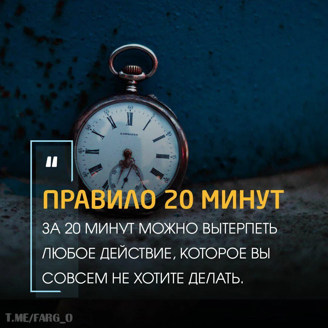 Книга 20 минут. Правило 20 минут. Правило 20 минут в день. Правило 20 минут картинки. Правило 20 минут в день психология.