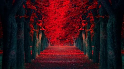 Natural red