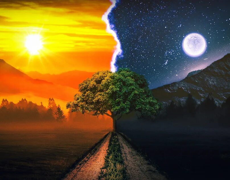 День и ночь. Утро ночь. Слушать свету день ночь. Слушать свету день ночь. День и ночь на одной картинке.