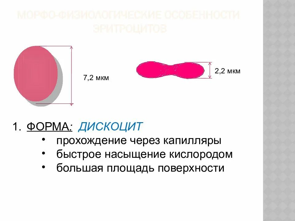 Площадь поверхности эритроцитов человека. Особенности эритроцитов. Особенности строения эритроцитов. Эритроциты физиология. Объем жидкой части крови