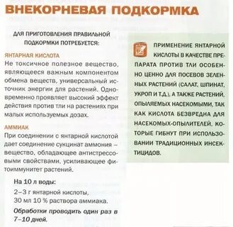 Можно подкормить цветы янтарной кислотой