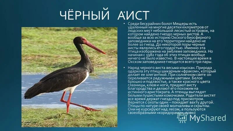 "Красная книга или Возьмём под защиту"