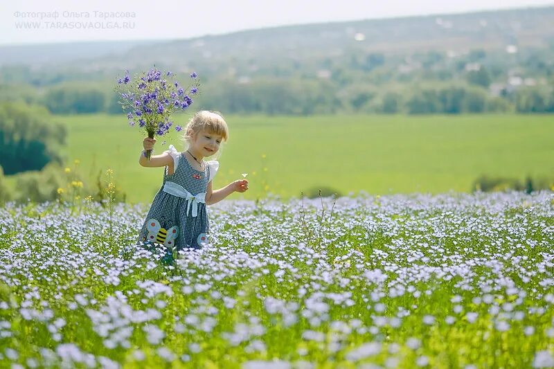 Мирная жизнь детей. Дети в поле. Дети на лугу. Дети бегут по лугу. Ребенок в поле с цветами.