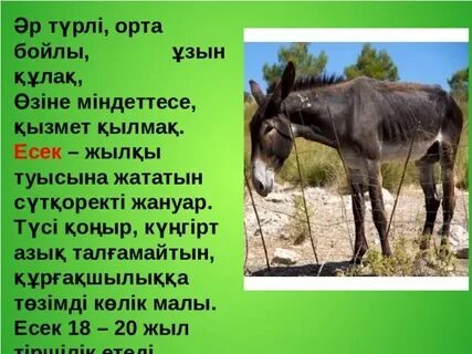 Колин Морган мен Брэдли Джеймс секс