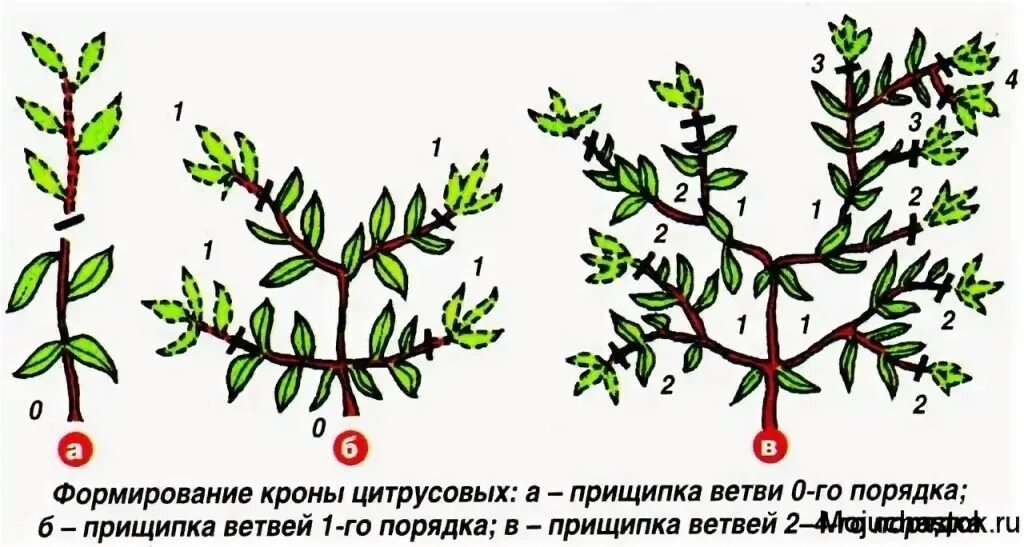 Можно ли формировать