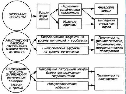 Элементы нарушения