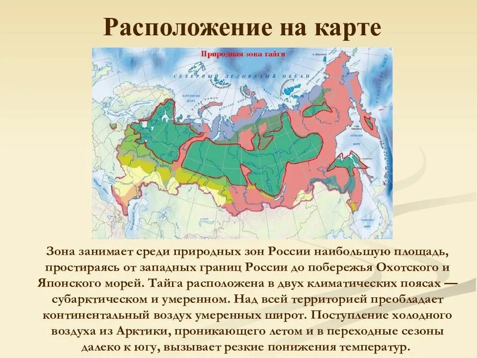 Наибольшая площадь природной зоны в россии. Территория тайги на карте России. Тайга природная зона. Карта природных зон России. Тайга на карте России природных зон.