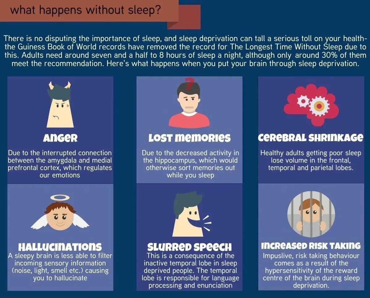 What happens when.... How we Sleep book. What happens when we Sleep? | The Economist. We Sleep. When do you sleep