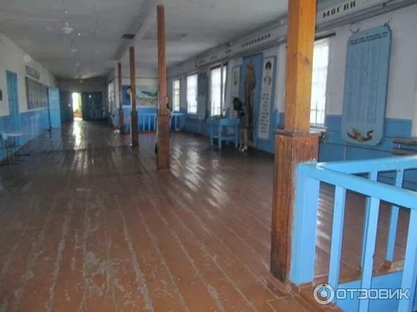 Погода в шарчино рп 5. Шарчино нсо. Погода в шарчино алтайский край тюменцевский. Погода в шарчино алтайский край тюменцевский. Село шарчино алтайский край.