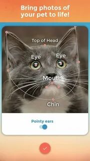 My talk pet