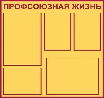 Профсоюзная жизнь в организации