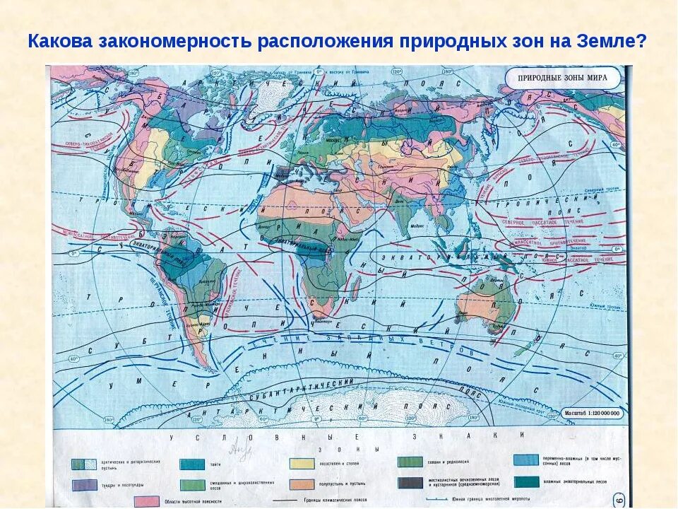 Материки и природные зоны на карте. Расположение природных зон. Закономерность размещения растительного покрова на земном шаре