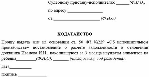 Могут ли алименты списать за долги