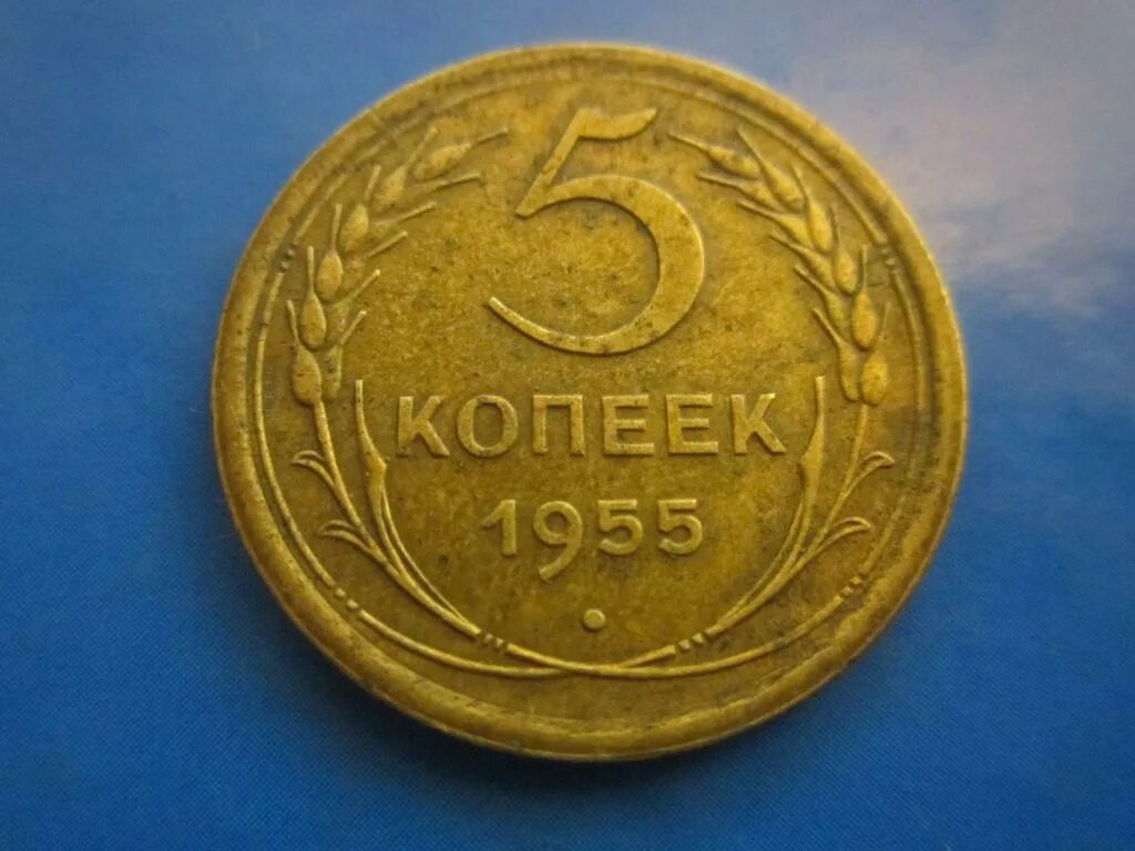 Монета 5 копеек 1955. СССР 5 копеек 1955. Монета 5 копеек 1955 года. 5 копеек 1955 года