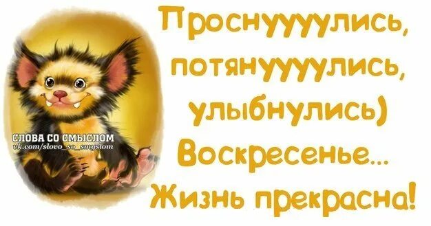 Воскресенье нужно отдыхать. Воскресенье приколы. Смешные картинки про воскресенье. Веселые афоризмы про воскресенье. Смешные статусы про воскресенье.