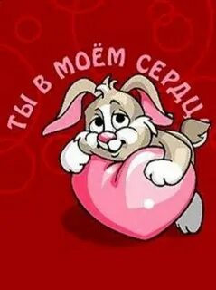 Я твой зайчик