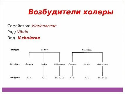 Род возбудителя