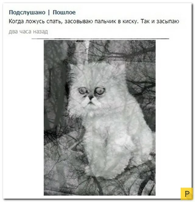 Прикол про киску и ничего похожего. Суй пальчик суй пальчик в киску. Сунула два пальца в киску. Засунул 2 пальца в киску. Сую пальцы спящей