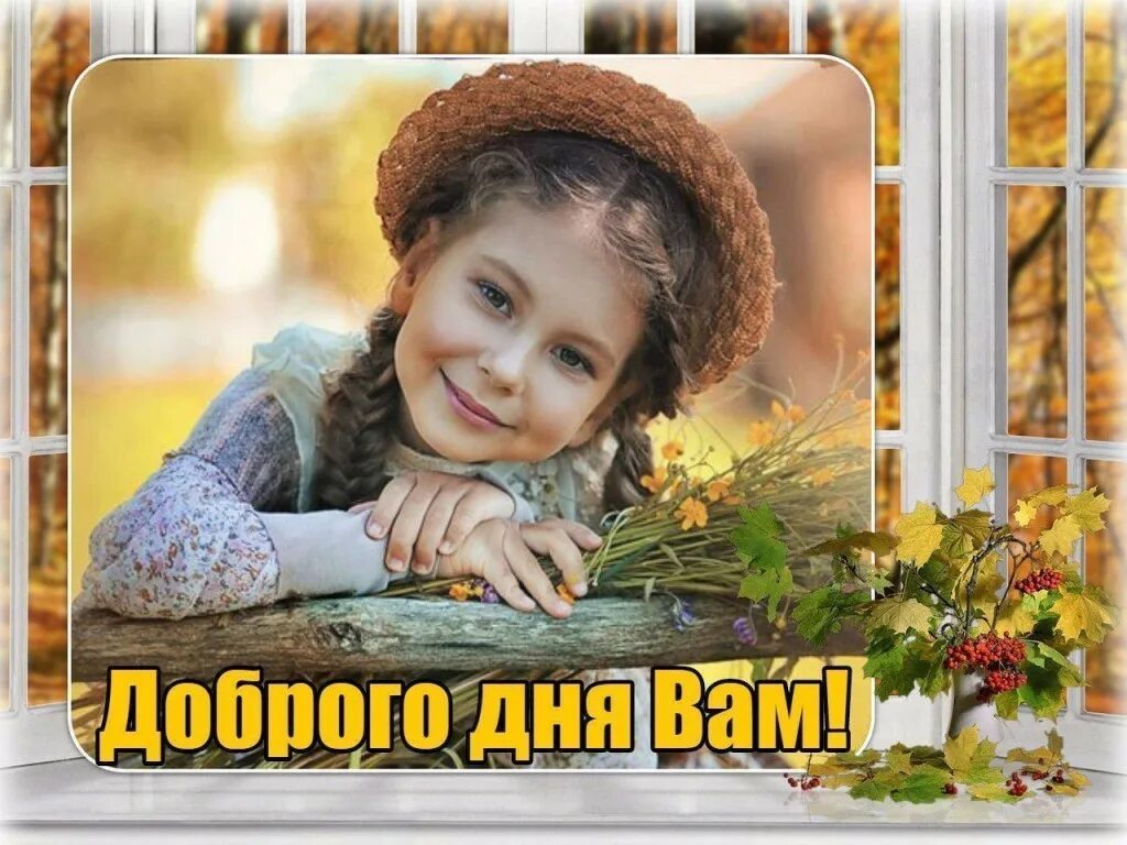 Добрый день ссылка на оплату