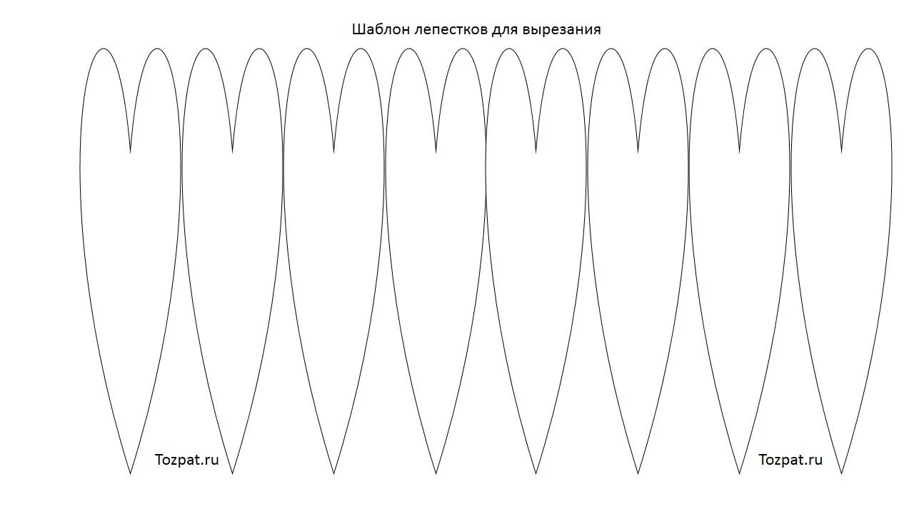 Лепестки пожеланий шаблоны. Трафарет лепестков. Лепесток трафарет. Лепестки для вырезания. Трафарет лепестка цветка.