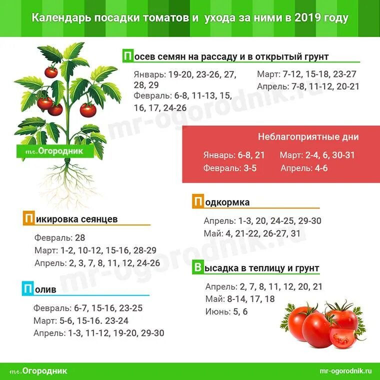 Календарь высадки томатов