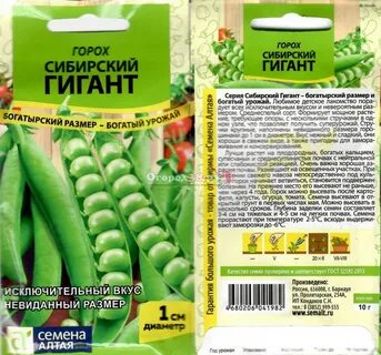 Сибирский горох