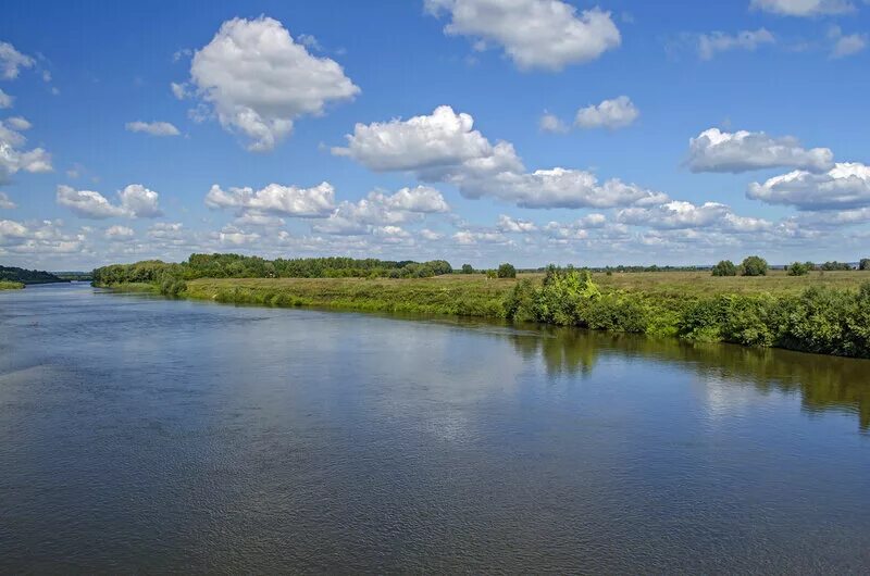 Алатырь река сура. Река Сура Алатырь. Река Алатырь в Мордовии. Река Алатырь в Нижегородской области. Река Сура в Чувашии.