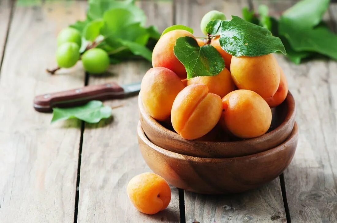 Фоны абрикос. Абрикос шалах. абрикос базилик мандарин. apricot — абрикос. абрикосы фон.