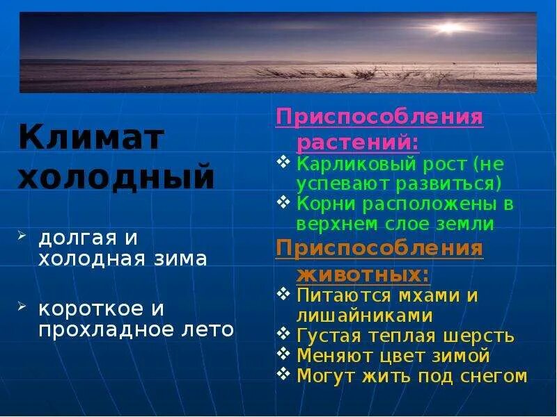 Холодный климат короткое лето и продолжительная зима