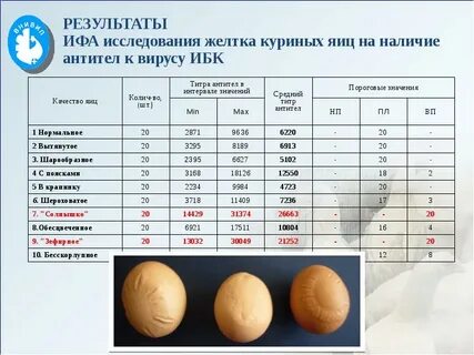 Размеры яиц по категориям