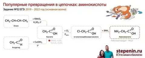 Амины степенин тест