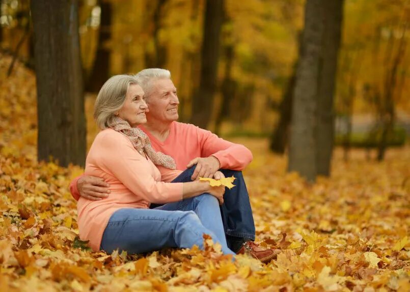 Senior couple with bicycle in autumn park Stock Photo Adobe Stock