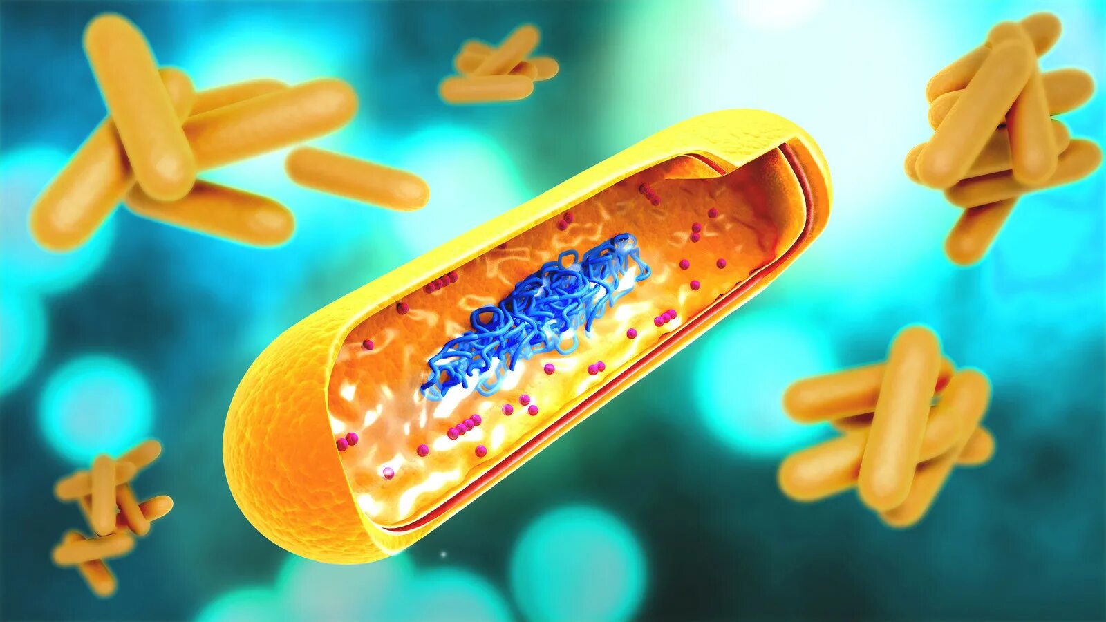 Бактерия Mycobacterium tuberculosis. Микобактерия туберкулеза палочка Коха. Микобактерия палочки Коха.