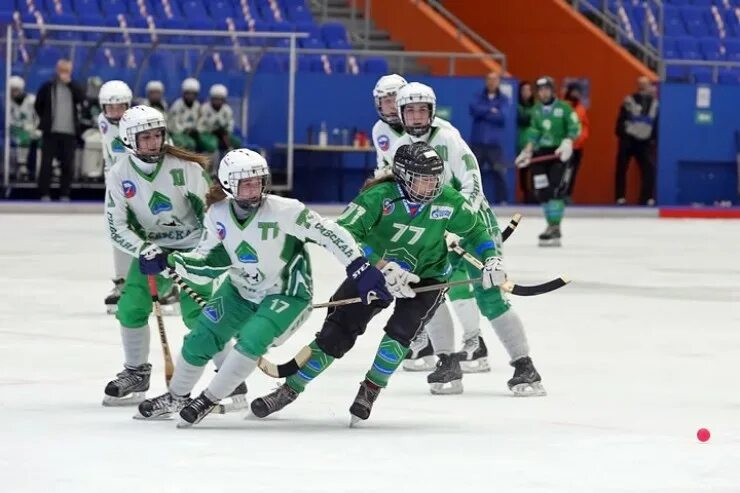 Сибскана. Сибскана чемпион. Сибскана 2006. Сибскана Иркутск. Сибскана 2018.