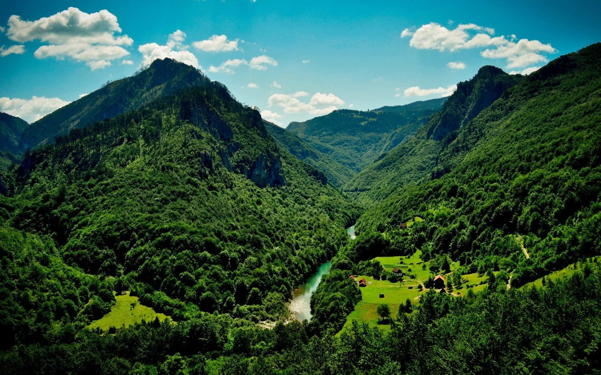 Гора зелени