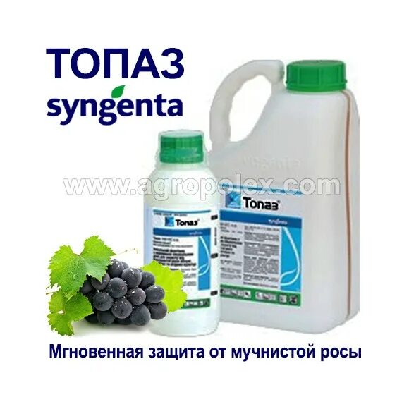 Топаз, КЭ : 1л. Препарат топаз Syngenta. Фунгицид топаз : 10 мл. Топаз фунгицид для винограда. Скор фунгицид инструкция по применению цена