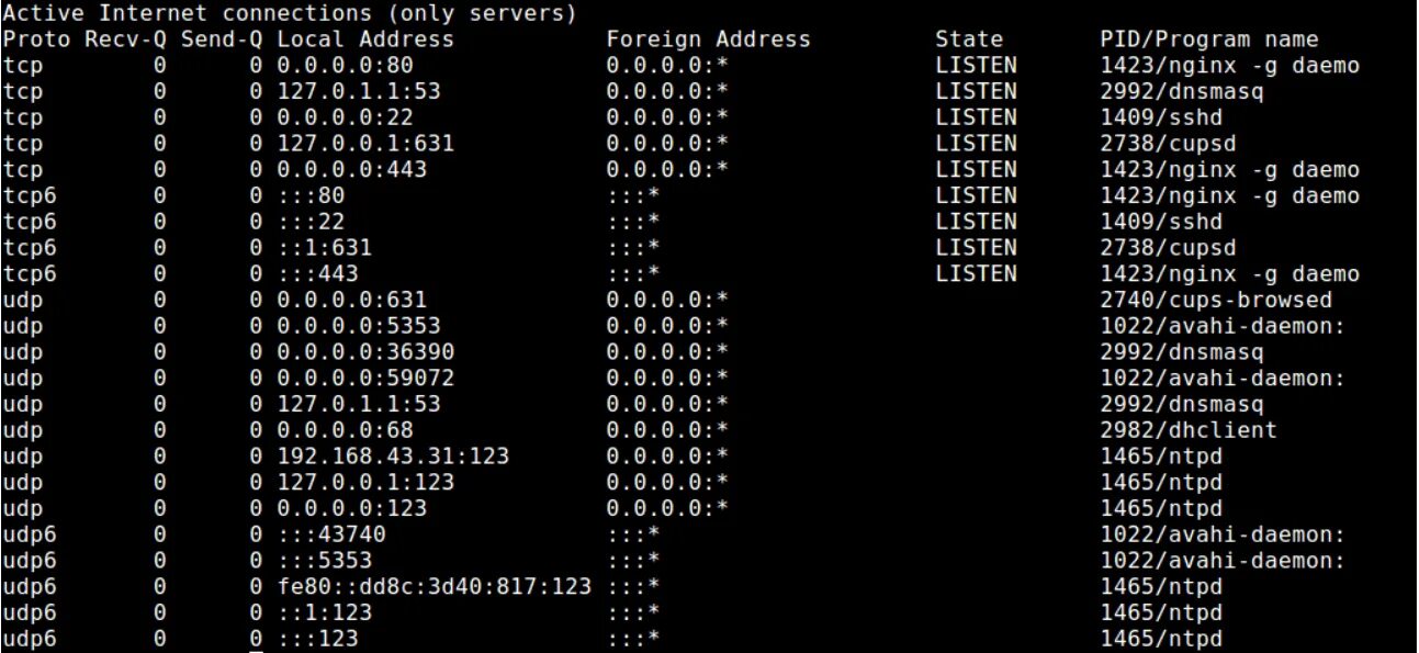 Linux com port. Команда netstat. Утилита netstat. Netstat открытые Порты. Netstat описание команды.