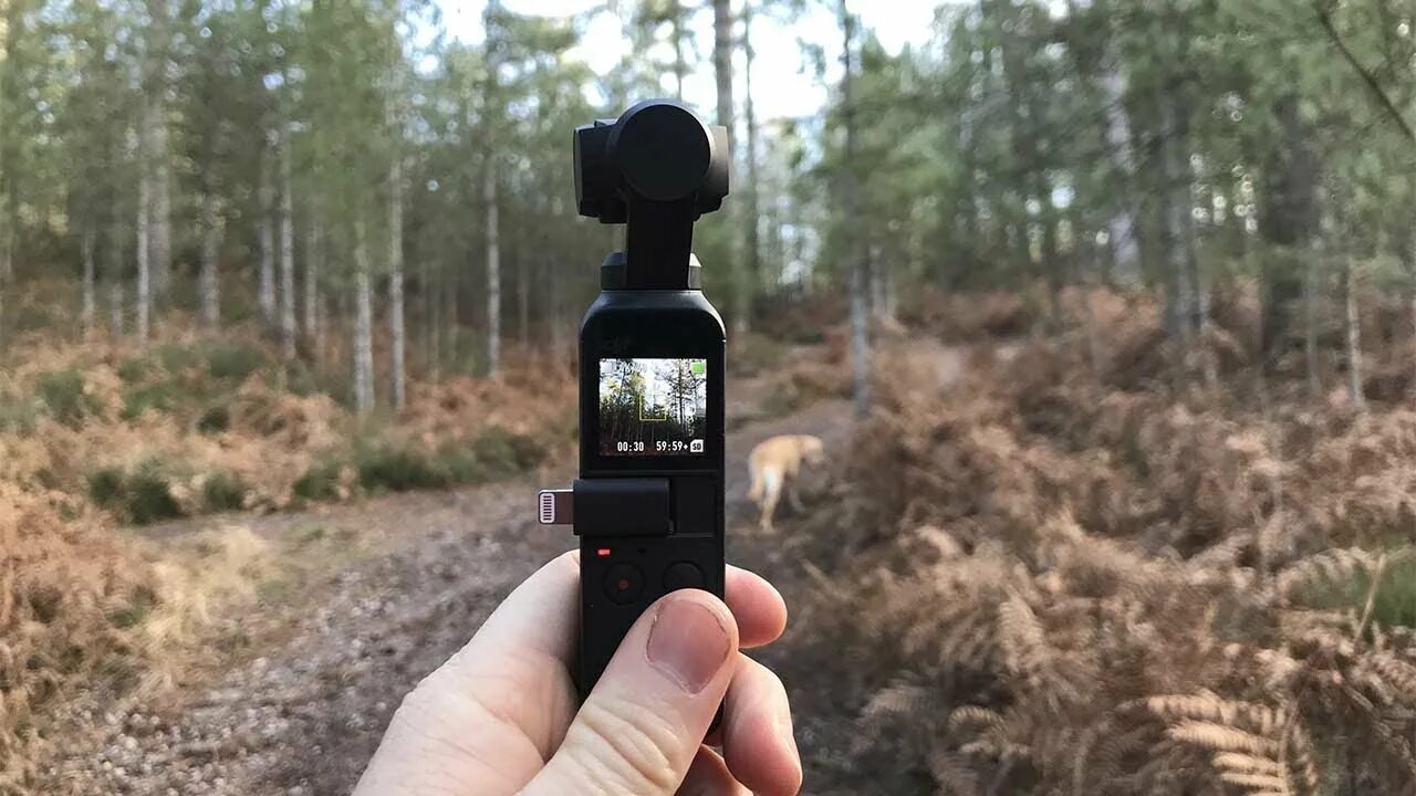 Osmo как пользоваться. Камера dji pocket 2. камера dji osmo pocket. dji osmo pocket 4. камера dji osmo pocket 3.