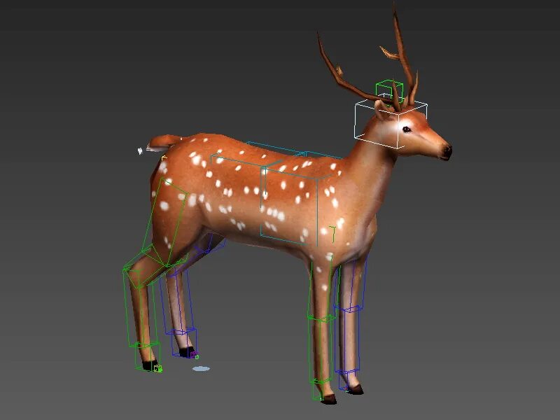 Rig low poly. 3d model sika deer animated. deer 3d model. low poly deer.
